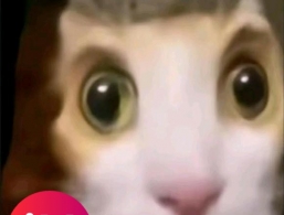 石墩子充电支架